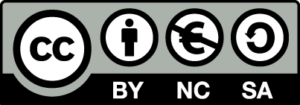 Icon badge of license Creative Commons Attribution – NonCommercial – ShareAlike 4.0 International